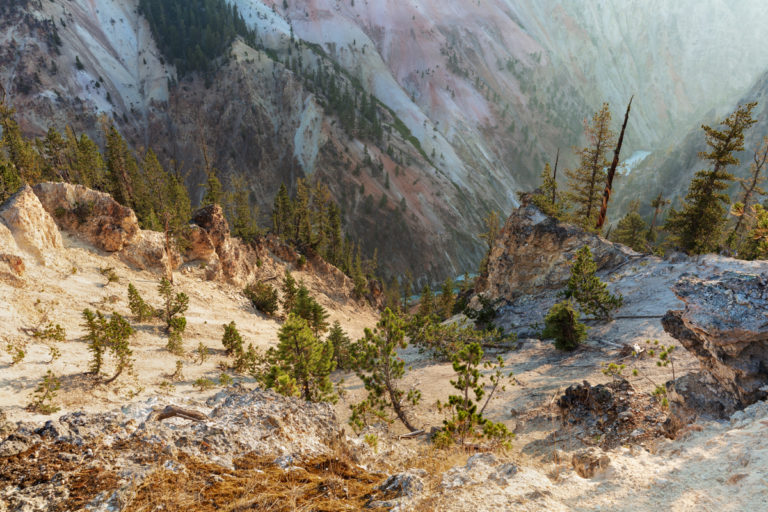 View Down Into Canyon