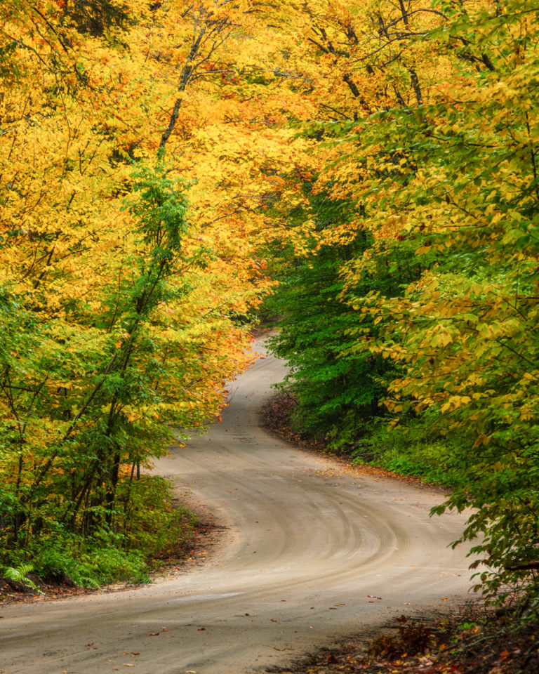 Duncan-Rawlinson-Photo-531787-Algonquin-Provincial-Park-Fall-2018-20181003-DJRL8056-Winding-Dirt-Road-and-Yellow-Leaves-1200px-768x960.jpg