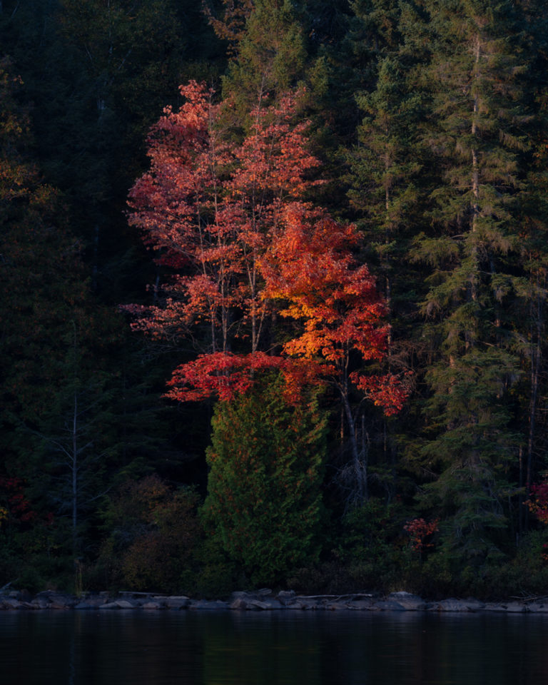 Last Light and Fall Color 02