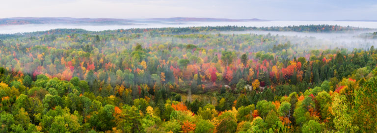 Mist and Fall Color
