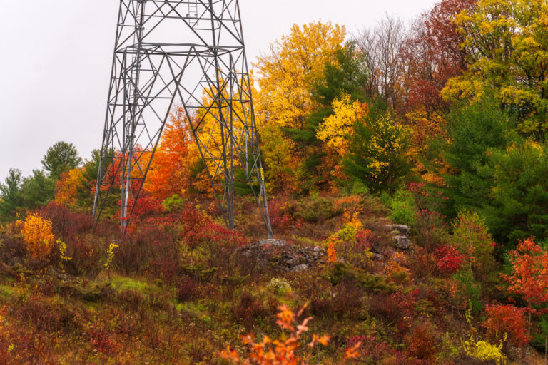 Lattice Tower and Fall Foiliage