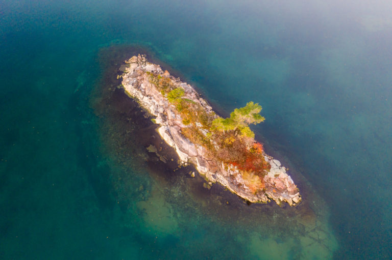 Island with One Tree