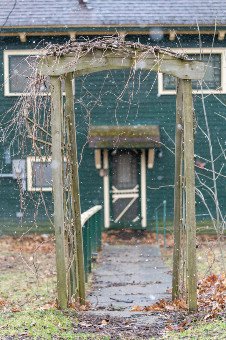 Cottage Entrance