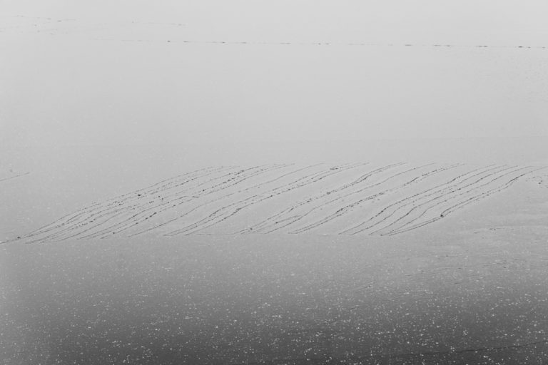 Cracks In The Ice 16