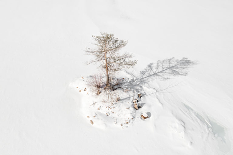 Lone Tree on Tiny Island