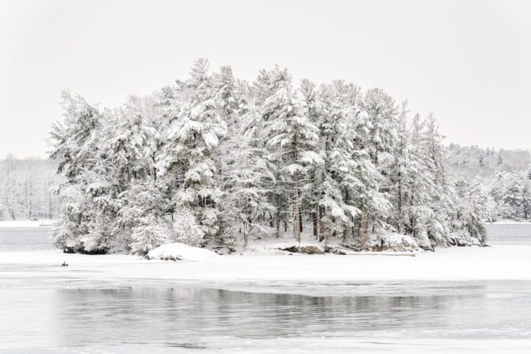Snow Covered Island
