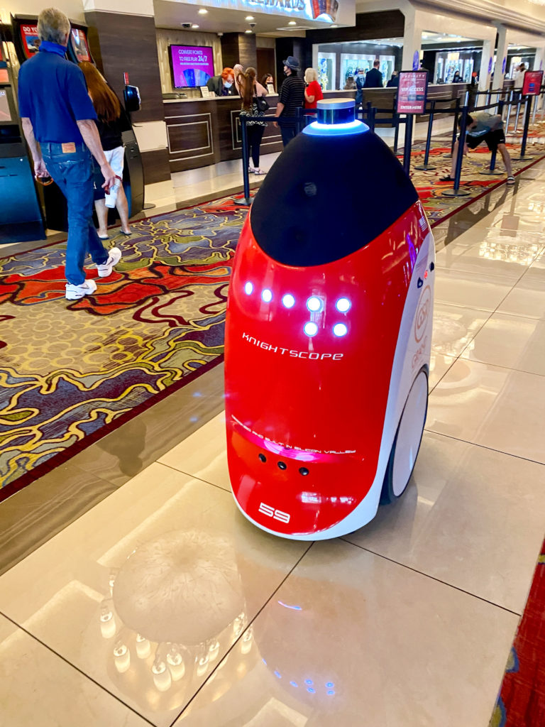Hotel Security Robot