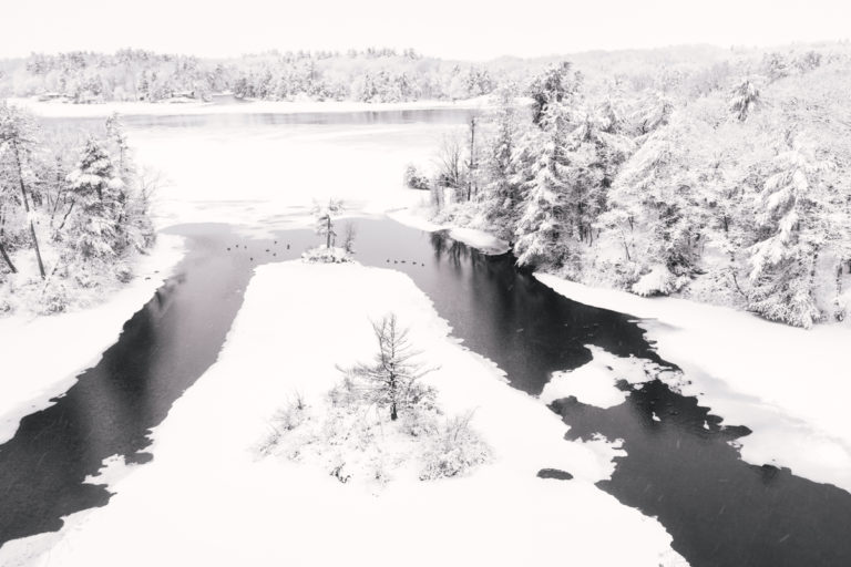 Small Islands and Birds in the Snow
