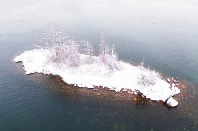 Small Island with Snow Covered Trees
