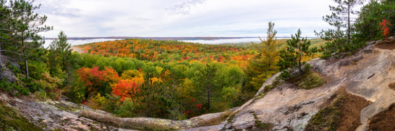 Fall Color at the Edge