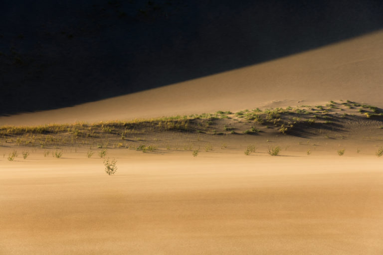 Edge of the Dunes