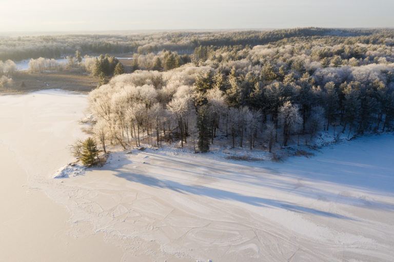 Frosty Trees and Frozen River
