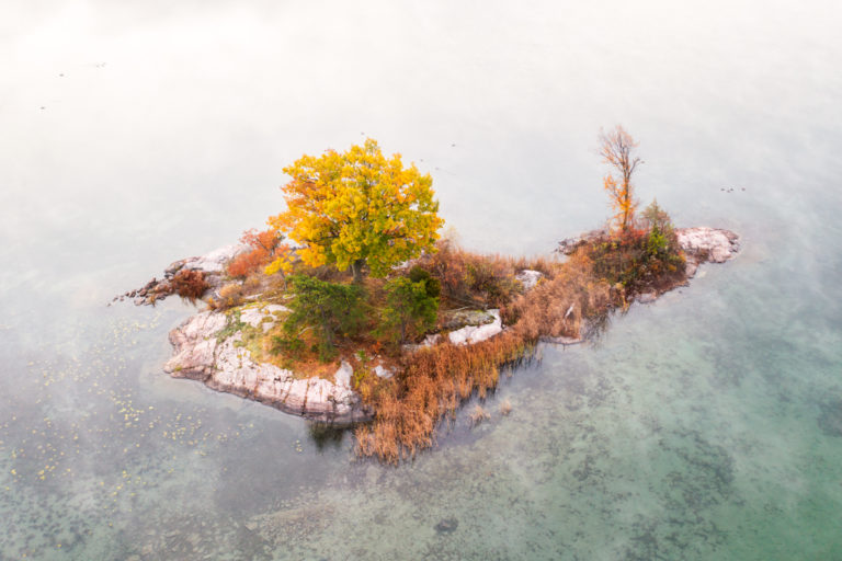 Small Island with Tree and Fall Color 02