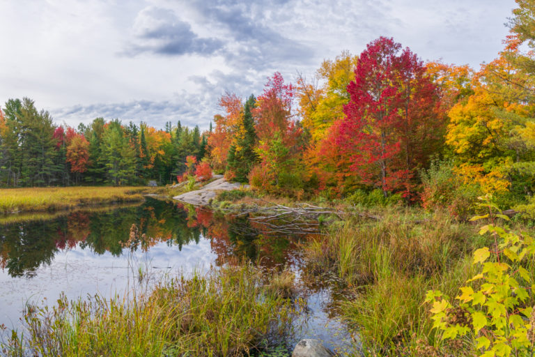 Fall Color and Small Lake
