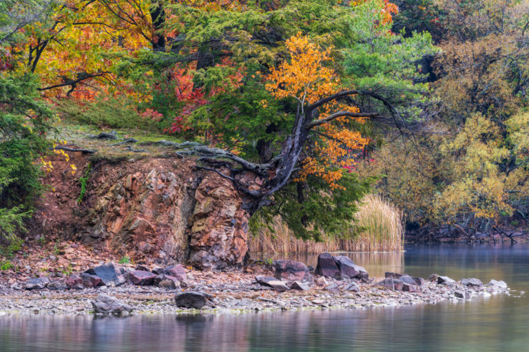 Edge of the River