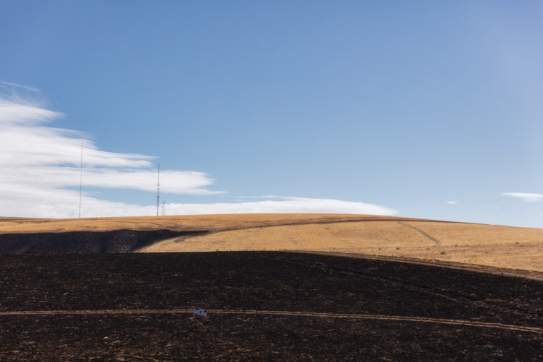 Ashen Acreage