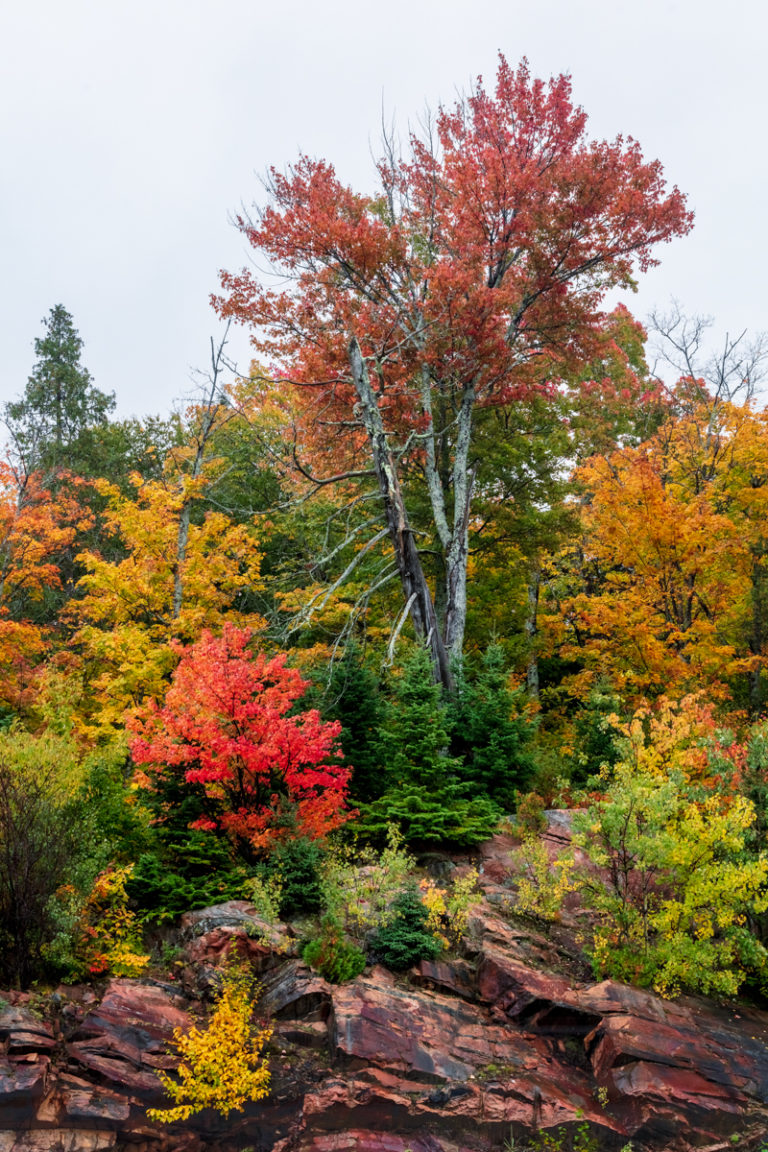 Rocky Outcrop and Vibrant Foliage