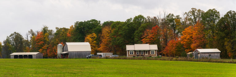 A Seasonal Scene at the Farm