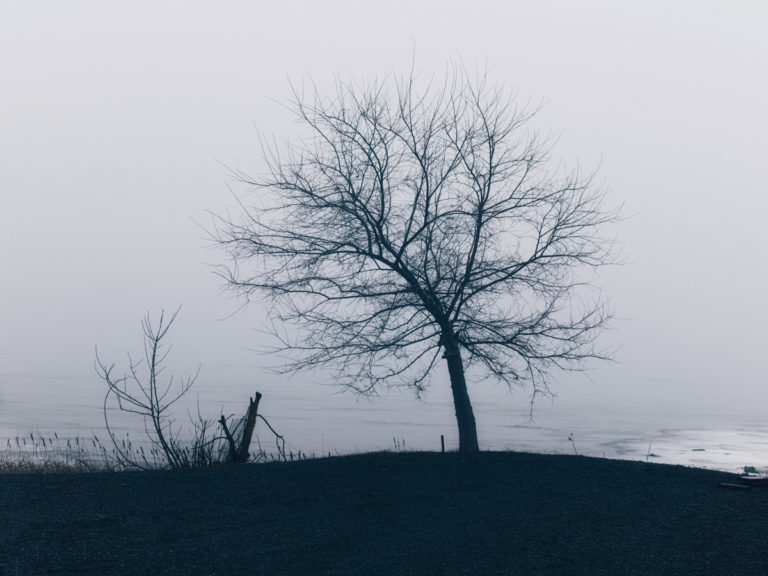 Naked Solitude