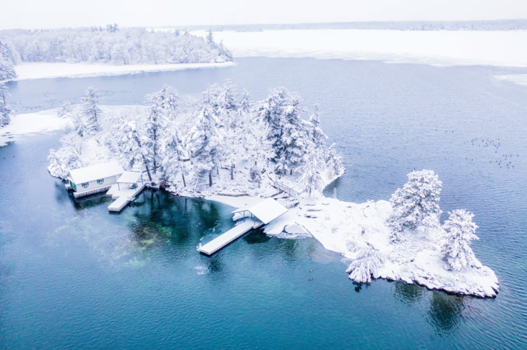 Frosted Oasis