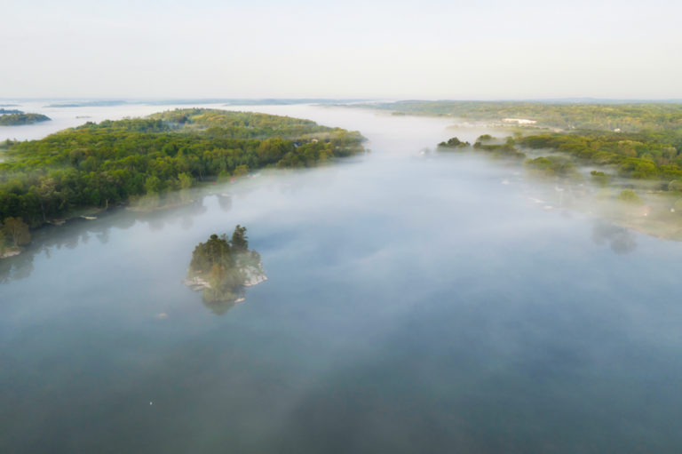 Misty Majesty