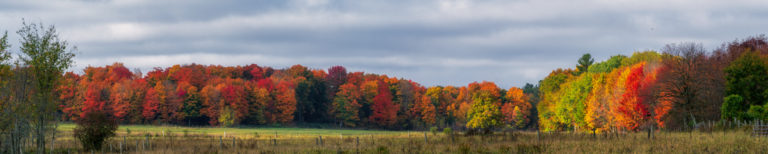 Ontario’s Radiant Fall Foliage