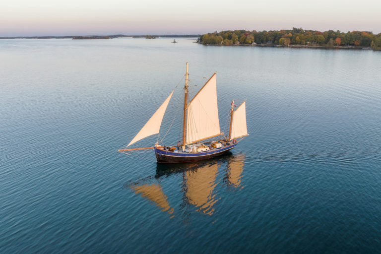 Blue Hulled Beauty 02