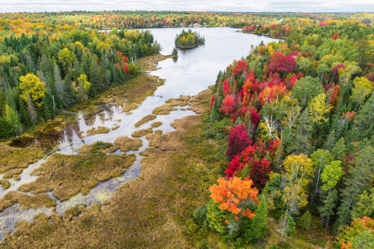 Autumn Splendor at Small Lake