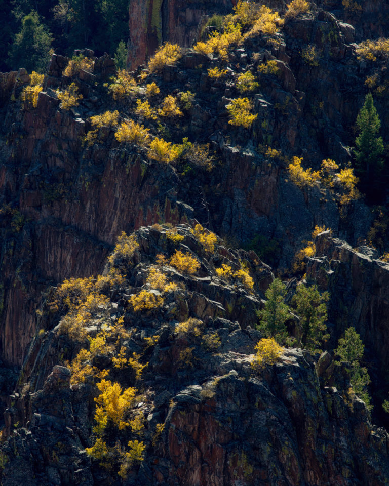 Canyon of Color