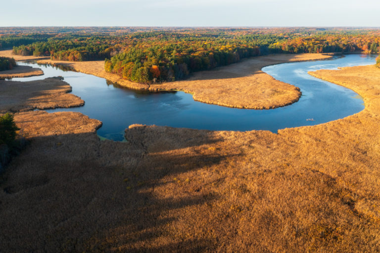 Winding Waters of Jones Creek