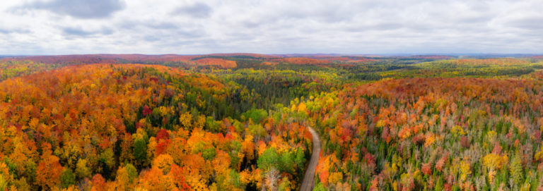 A Road Through Nature’s Canvas