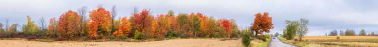 Countryside Kaleidoscope