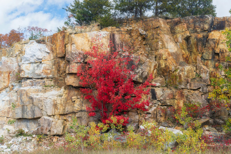 Maple Leaves and Rocky Edges