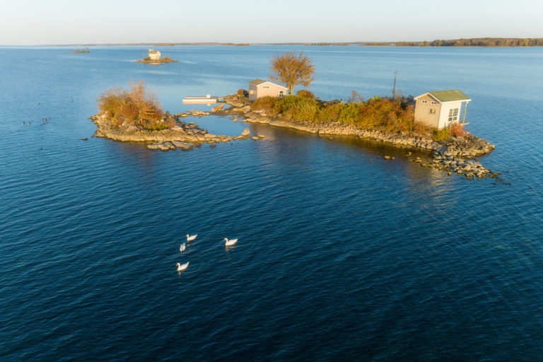 Thousand Islands Swan Soiree