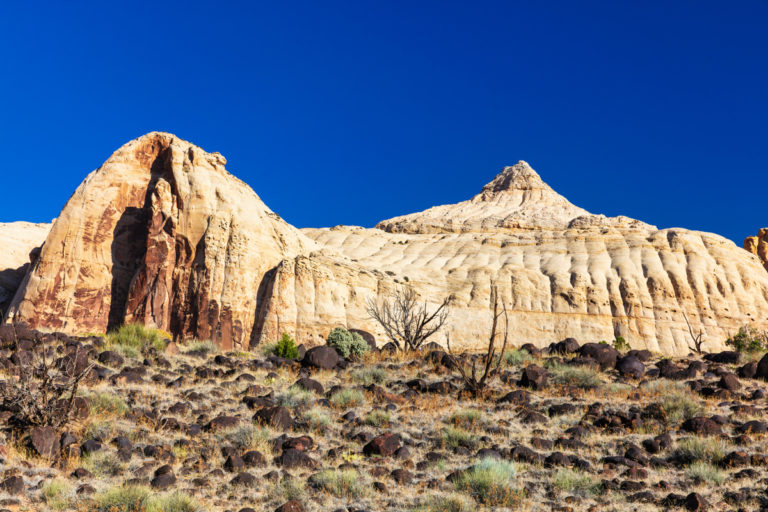 Ancient Earth Artistry