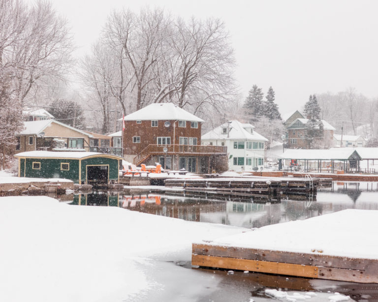 Tranquil Snowfall at Ivy Lea