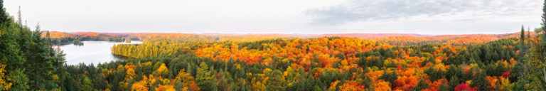 Algonquin’s Fall Tapestry