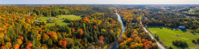 Autumn Serenity in Rural Ontario