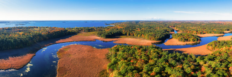 Serpentine Scenery of Jones Creek