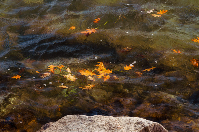 Flowing Through Time