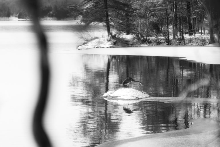 The Solitary Fisher