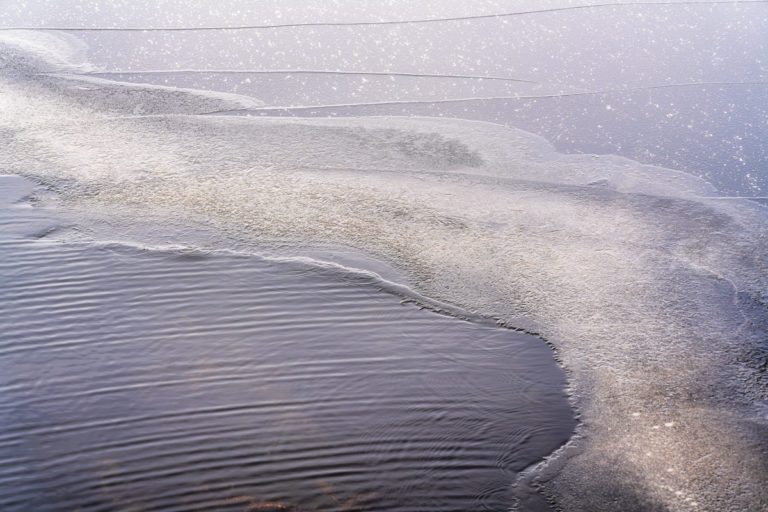 Delicate Icescape