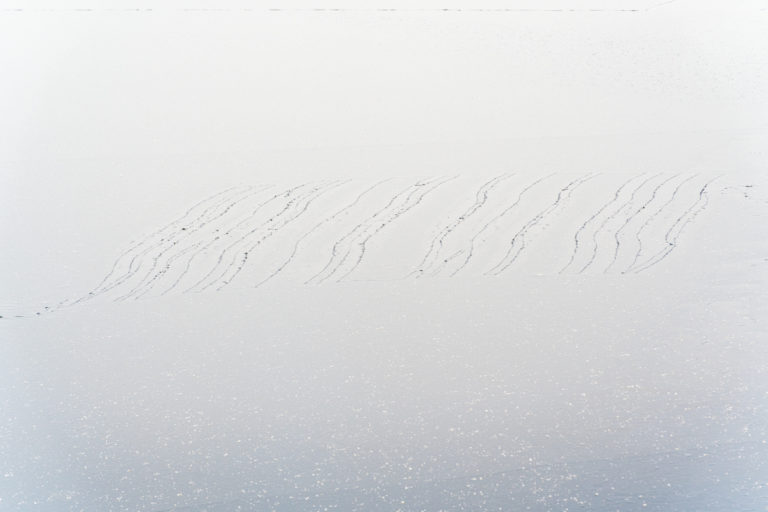 Frozen Labyrinth