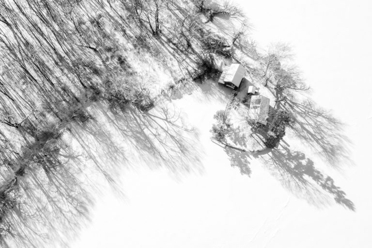 Shadows in Solitude