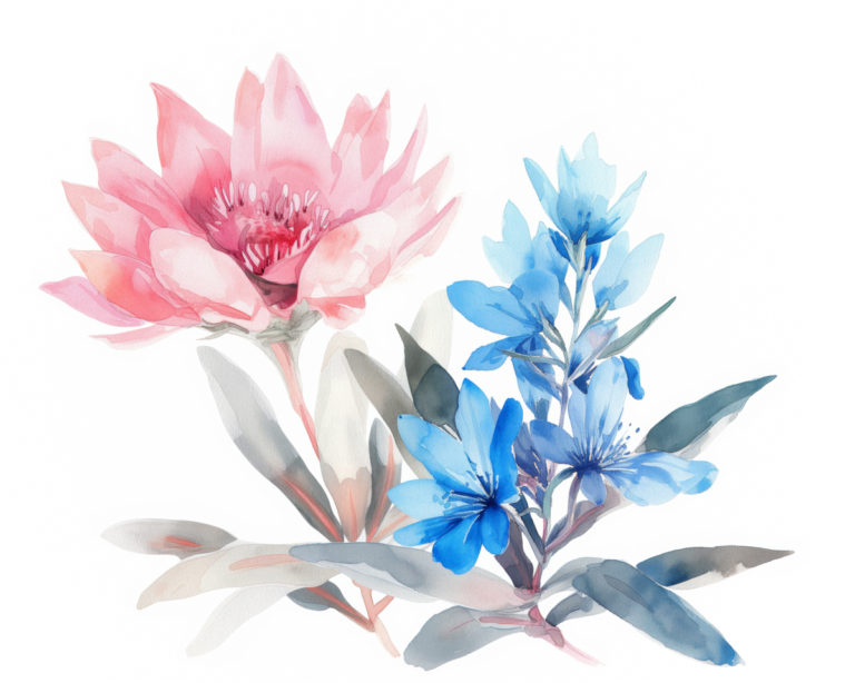 Breezy Botanicals