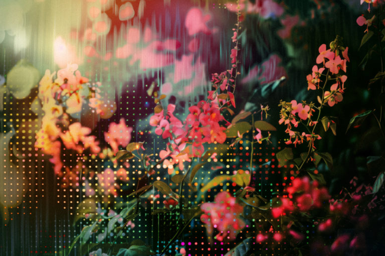 Digital Rain