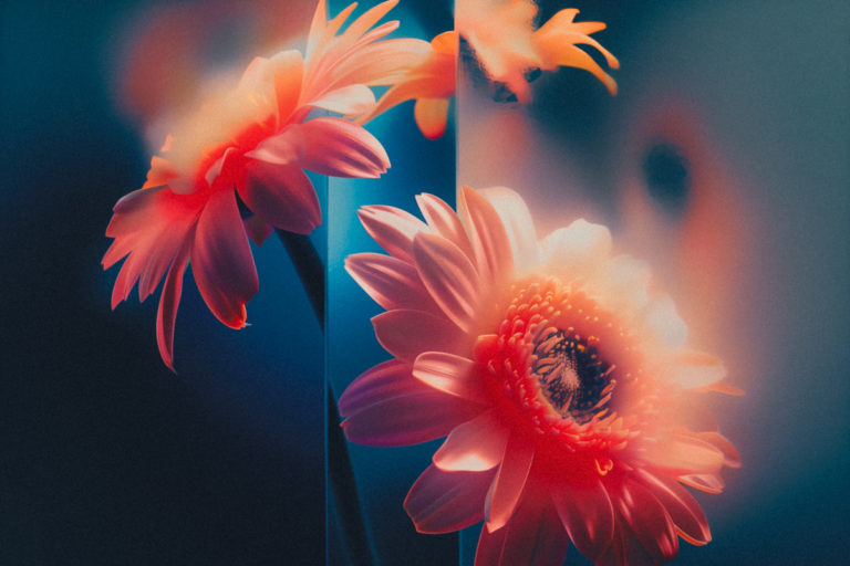Dreaming in Vectors