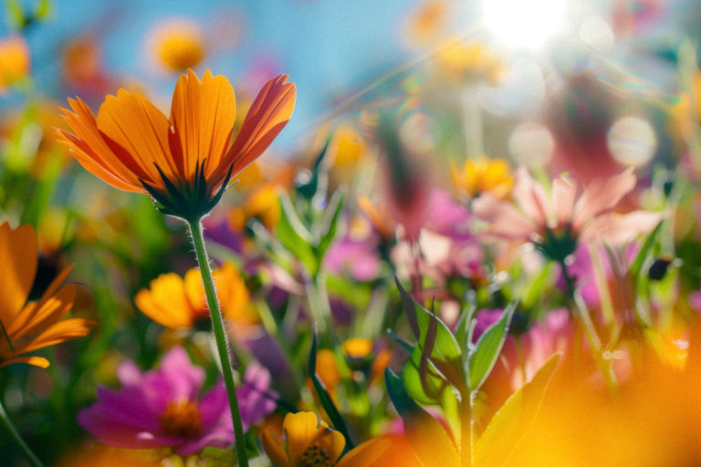 Warmth of Daybreak