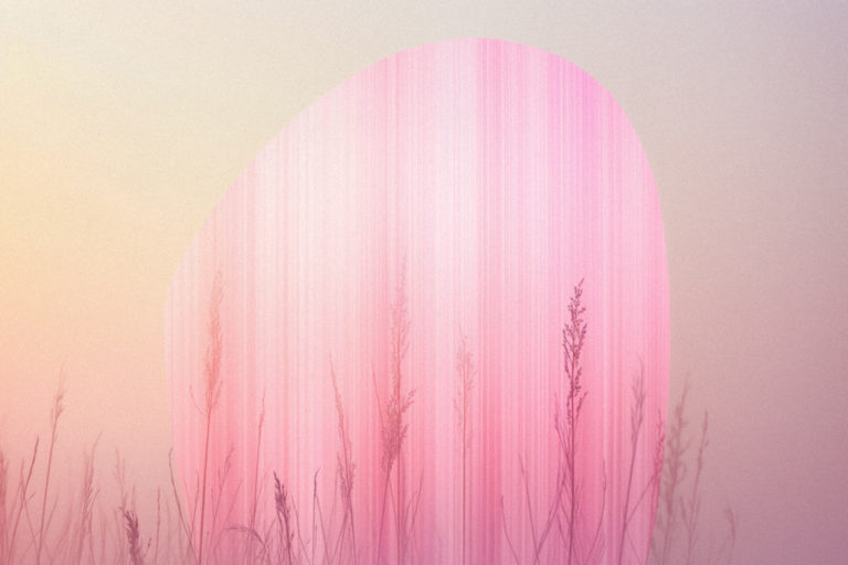 Veil of Dawn