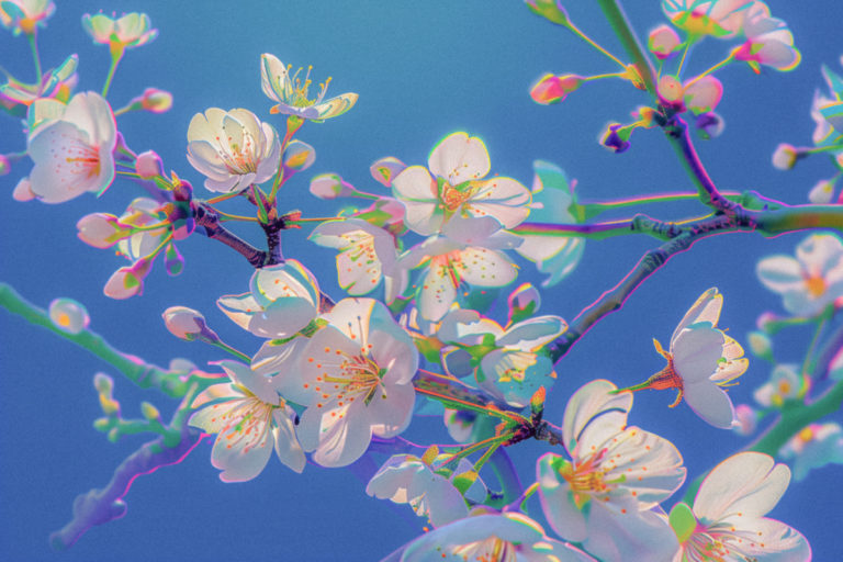 Chromatic Blooms